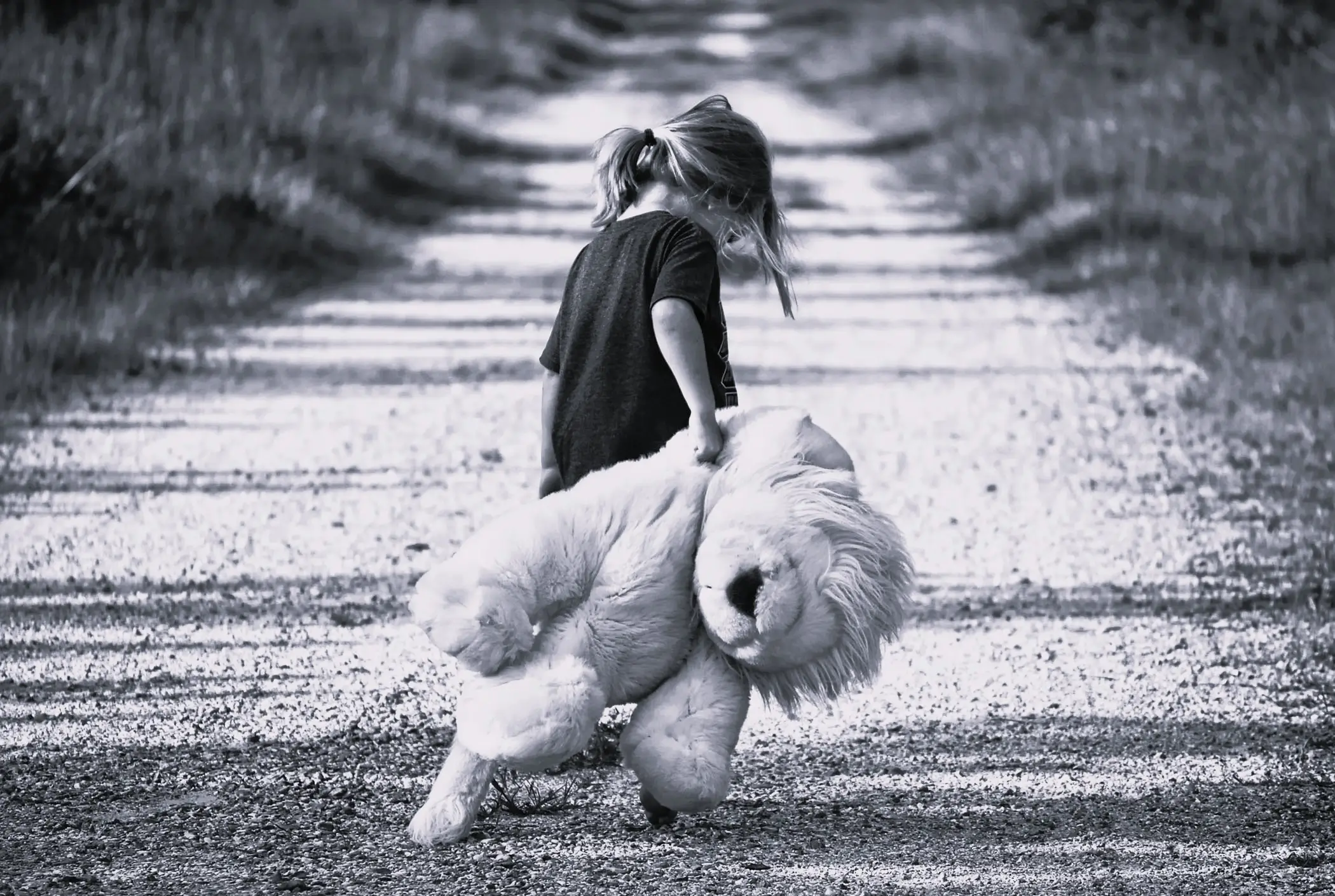 alimenty na dziecko adwokat Jelenia Góra